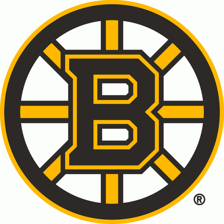 Boston Bruins 2007-Pres Primary Logo iron on transfers for T-shirts...